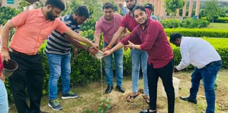 Best tree plantation agency in Noida
