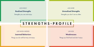 Strengths Profile schematic