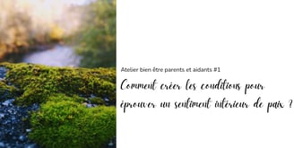 Vue sur la rivière - Visuel de l'atelier 1 sur la paix en soi