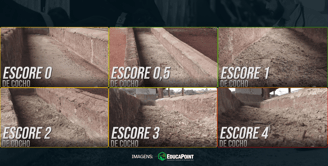 Escore de Cocho, Leitura de Cocho