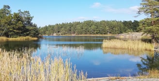 vackert landskap och en sjö i Sverige, det finns öar och granar.