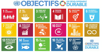 Objectifs de développement durable de l'ONU