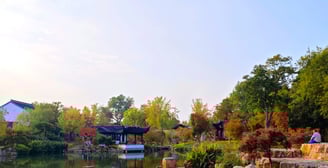 Rocks and greenery reflected in pond