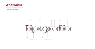 Partes de la letra inspirada en la iconografía de la Comunidad Yine