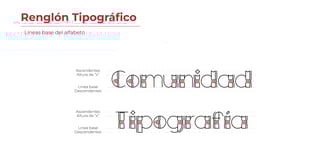 Líneas base de la tipografía creada inspirada en la iconografía de la Comunidad Yine