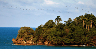isla uvita ilha quiribri costa rica