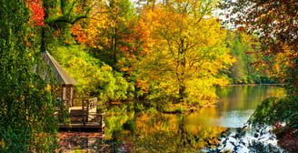 Actividades para hacer en otoño en Estados Unidos