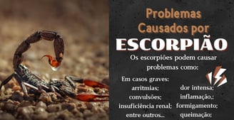controle de pragas contra escorpiões