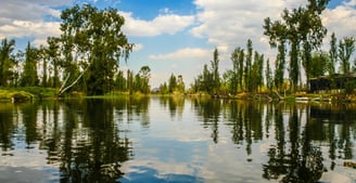 Canales de Xochimilco