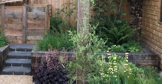 patio, raised beds, pergola, steps, with loose planting of grasses, ferns and perennials