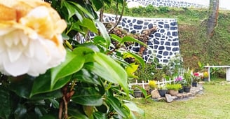 Flower and garden corner at Nobel Bungalow Nuwara Eliya with stone wall decor