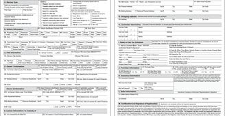 Registration and Title Form