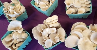 Kansas City Mushroom Company offers their fresh, locally grown mushrooms at farmers markets.