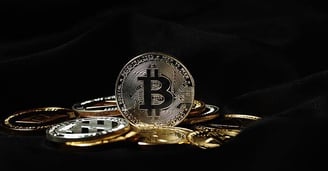 Bitcoin's Price Dip Amid Continued Capital Inflows: Navigating Market Dynamics