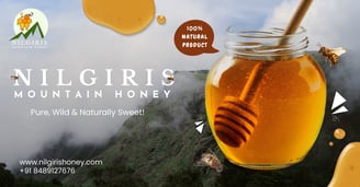 Jar of pure Nilgiris raw honey ,gudalur mountain background green gold color logo