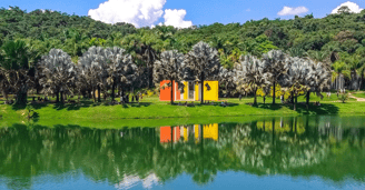 Museu Inhotim Brumadinho, com Árvores e Uma Lagoa com Água de Cor Verde, Com Uma Exposição de Arte