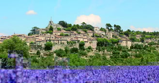 Luberon village with blue flower field