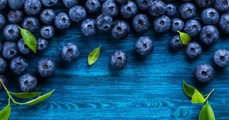Arándanos frescos sobre fondo azul con hojas verdes: una fuente rica en antioxidantes que protege el