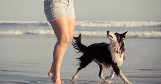 Beste Strände Gran Canaria für Hunde