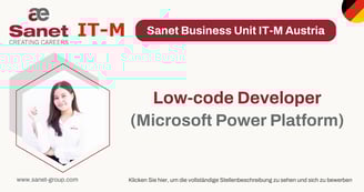 Low-code developer