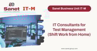 IT Consultants