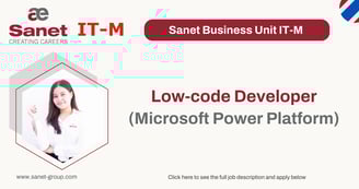 Low-code Developer