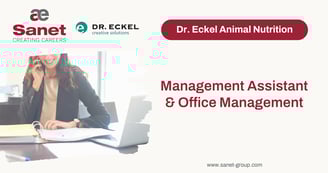 Management Assistant