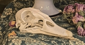 A duck skull sitting on elaborately woven cloth.