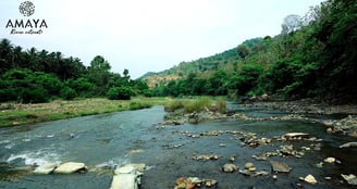a river with rocks and rocks in the foreground