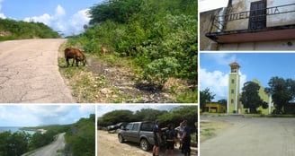 Fotos da autora durante o passeio pela rota cênica de Kralendijk a Rincon em Bonaire