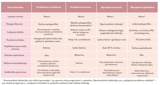 Ureaplazmų ir Mikoplazmų palyginimas - lentelė