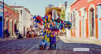 Viajes Bojórquez