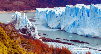 viajes bojórquez oficial