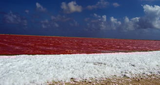 salinas de Bonaire viagens de cruzeiro