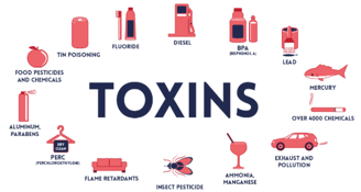 Toxins in our environment that kill us