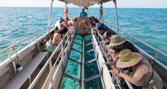 Coral Reef Glass-Bottom Boat Tour