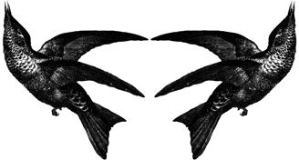Kleine dekorative Vögelchen aus dem THESING2e-Logo