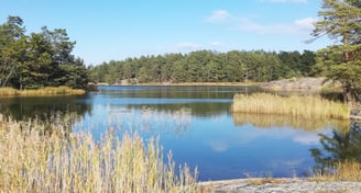 a lake in sweden, there are islands and fir trees. fish for pike in sweden.