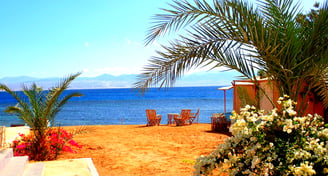 View of the beach flowers and sea at Bedouin star Ras shitan