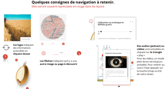 contenus e-learning interactifs ludiques 