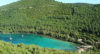 Gölköy Şoförlü Araç Kiralama