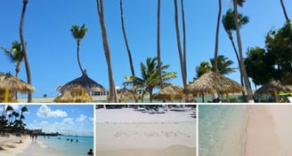 Palm Beach em Aruba com águas cristalinas e palmeiras ao fundo