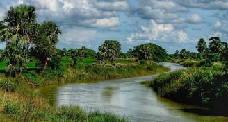Peaceful village, West Bengal