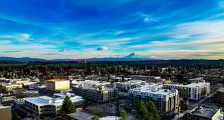 Junk Removal in Auburn, Wa.
