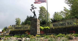Junk Removal in Bonney Lake