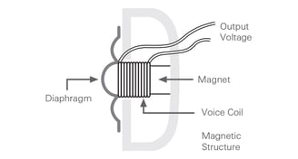 Dynamic microphpone