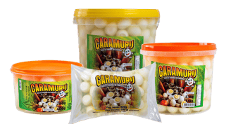 Caramuru