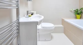 Toilet Repair, Toilet, Bidet Installation