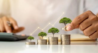 Investment in RBI Floating rate Bonds