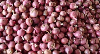 a pile of onions on display in a store (exported to Maldives by swastik team)